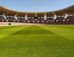  عمان اليوم - "غزو النحل" يوقف مباراة تنس في بطولة إنديان ويلز