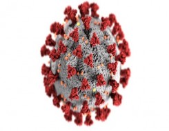  عمان اليوم - المعدل اليومي للإصابات لفيروس كورونا في عمان اليوم الأثنين 1 تشرين الثاني/ نوفمبر 2021