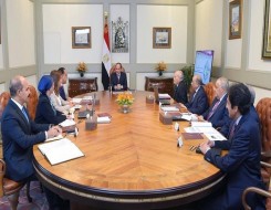  عمان اليوم - الحكومة المصرية تبحث حلول جديدة لحل أزمة الدولار