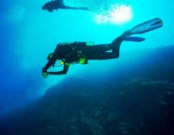  عمان اليوم - حملة لتنظيف الشعاب المرجانية فى محمية جزر الديمانيات الطبيعية