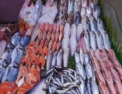 عمان اليوم - شركة عمانية بالمنطقة الحرة بصلالة تنتج 70 طنًّا من الأسماك يوميًّا