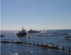  عمان اليوم - مشاريع للسدود قيد الدراسة الاستشارية والتصميم النهائي بالمحافظات العُمانية