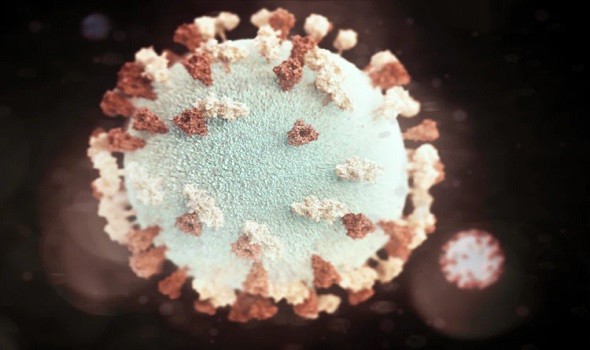 السلطات الصحية الباكستانية تُسجل إصابة ثانية بـ “حمى القرم والكونغو النزفية