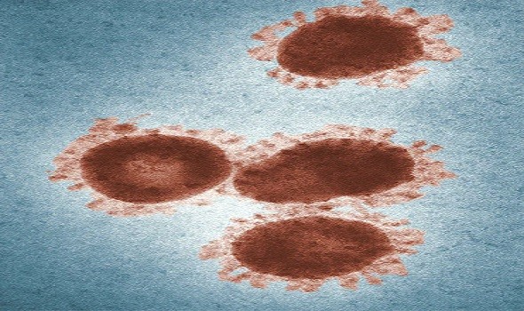  عمان اليوم - بنغلادش تطلق حملة تطعيم واسعة لاحتواء تفشي الحصبة
