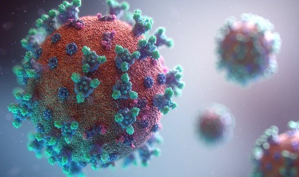  عمان اليوم - تسجيل أول إصابة بشرية بالعدوى جراء هجوم قرود ما نعرفه عن "فيروس B"