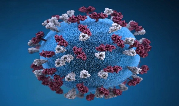  عمان اليوم - بريطانيا ترصد نوعاً جديداً من فيروس كورونا لديه قدرة كبيرة على التحور
