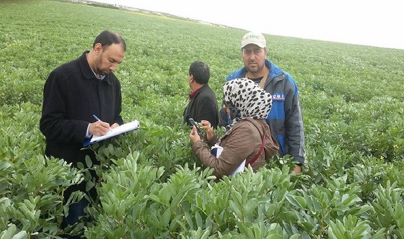  عمان اليوم - 850 طنا إنتاج محضة من المحاصيل الزراعية