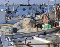  عمان اليوم - قناة فرنسية تنشر تقريرًا عن تطور قطاع الصيد في سلطنة عمان