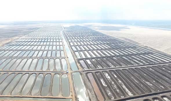  عمان اليوم - المنطقة الاقتصادية الخاصة بالدقم توقع على اتفاقية إنشاء أول مشروع أعلاف مائية