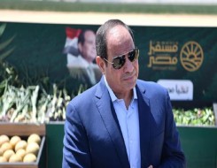  عمان اليوم - الرئيس المصري يؤكد أن أحداث 2011 حتى 2014 هددت وجود مصر
