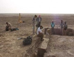  عمان اليوم - باحثون صينيون يكتشفون حفرية لوحيد القرن يرجع تاريخها لـ 14 مليون سنة