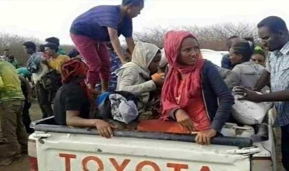 ازدياد حالات الاختفاء القسري للنساء في نيالا والخرطوم لاستغلالهن