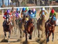  عمان اليوم - سباق للتحدي والإثارة للخيول العربية في ولاية بدية