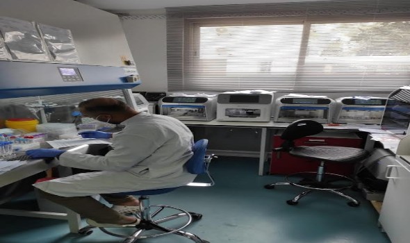  عمان اليوم - العلاج الإشعاعي يُعيد خلايا القلب أصغر سناً
