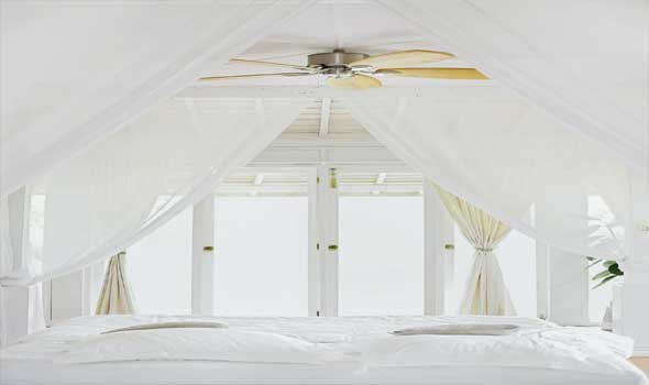  عمان اليوم - أفكار متنوعة لجلب الطبيعة إلى ديكورات غرف النوم