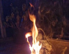  عمان اليوم - إخماد حريق شب في مزرعة بمحافظة ⁧‫شمال الباطنة‬⁩ دون تسجيل اصابات