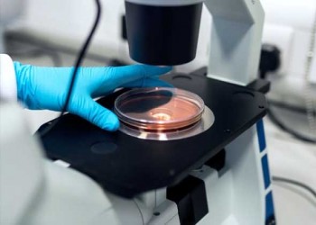  عمان اليوم - دراسة حديثة تكشف دور البروبيوتيك في تقليل آثار التلوث البلاستيكي