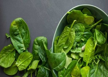  عمان اليوم - نظام مايند الغذائي قد يبطئ شيخوخة الدماغ ويحسن الذاكرة