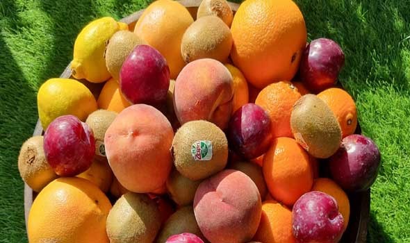  عمان اليوم - شرب عصير البرتقال يوميًا يخفض خطر الإصابة بمرض النقرس