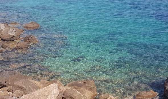  عمان اليوم - المحيطات تُسجّل حرارة قياسية جديدة على السطح