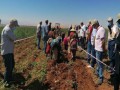  عمان اليوم - "الثروة الزراعية العُمانية" تبدأ بناء سدين للتغذية الجوفية في إبراء