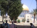  عمان اليوم - عشرات المستوطنين يقتحمون المسجد الأقصى