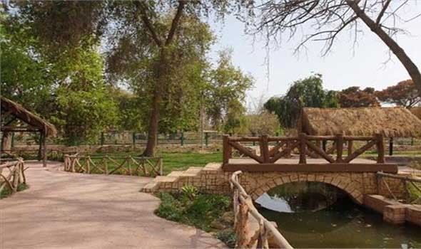  عمان اليوم - خلطات طبيعية فعالة لإبعاد الآفات عن نباتات المنزل والحديقة