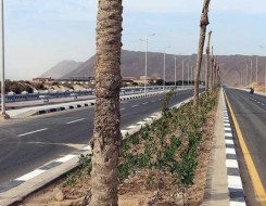  عمان اليوم - عُمان تطرح 60 مناقصة بـ365 مليون ريال وتسند مشاريع بـ734 مليونًا