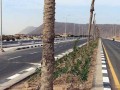  عمان اليوم - عُمان تطرح 60 مناقصة بـ365 مليون ريال وتسند مشاريع بـ734 مليونًا