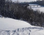 عمان اليوم -