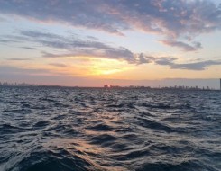  عمان اليوم - الأمم المتحدة تحذر من تهديد موجات الحر للنظم الغذائية عالمياً