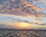 عمان اليوم -