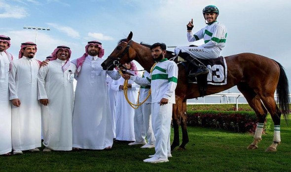  عمان اليوم - ١٥٠ فارسًا يشاركون في مهرجان الخيل التقليدي بشمال الباطنة