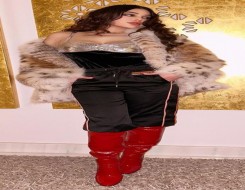  عمان اليوم - هيفاء وهبي تتألّق بفستان مرصع بالكريستال