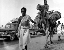 عمان اليوم - رحلة الحج في 7 عقود من 250 ألف حاج في عهد المؤسس إلى الملايين خلال عهد الملك السابع