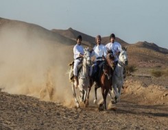  عمان اليوم - مهرجان السادس من ذي الحجة للخيل والهجن بولاية بدية فى سلطنة عُمان