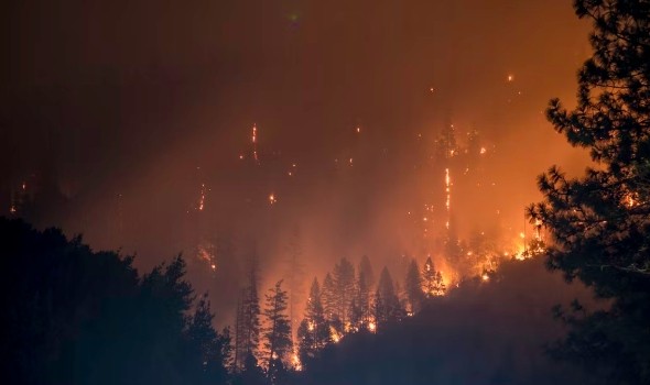  عمان اليوم - الحرائق تلتهم الغابات والمحاصيل في تونس وتطرد السكان
