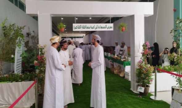  عمان اليوم - معرض المنتجات الزراعية في محافظة الظاهرة منصة لتبادل الخبرات
