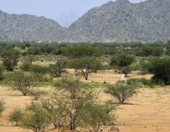 عمان اليوم - العلماء يُحددون المناطق التي ستواجه ظواهر مناخية خطيرة مستقبلاً