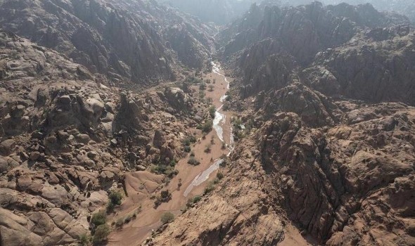 هيئة تطوير محمية الملك سلمان بن عبدالعزيز ترصد نوعين جديدين من الطيور