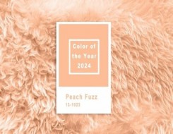  عمان اليوم - "بانتون" تختار الوردي البرتقالي لونًا للعام 2024 في الديكور