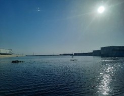  عمان اليوم - غرق سيدتين في وادٍ بولاية عبري أثناء محاولة إنقاذ