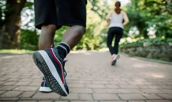  عمان اليوم - دراسة تكشف أن ممارسة الأنشطة في الطبيعة تحد من الشعور بالوحدة