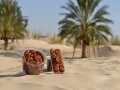  عمان اليوم - فوائد التمر الصحية وطرق تناوله لدعم مستويات السكر في الدم
